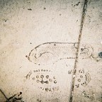 TWITTER-R1-088-42A.jpg